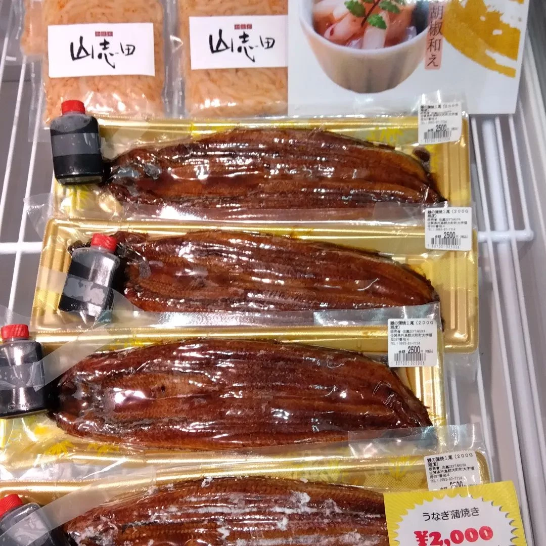画像255