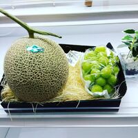 画像413