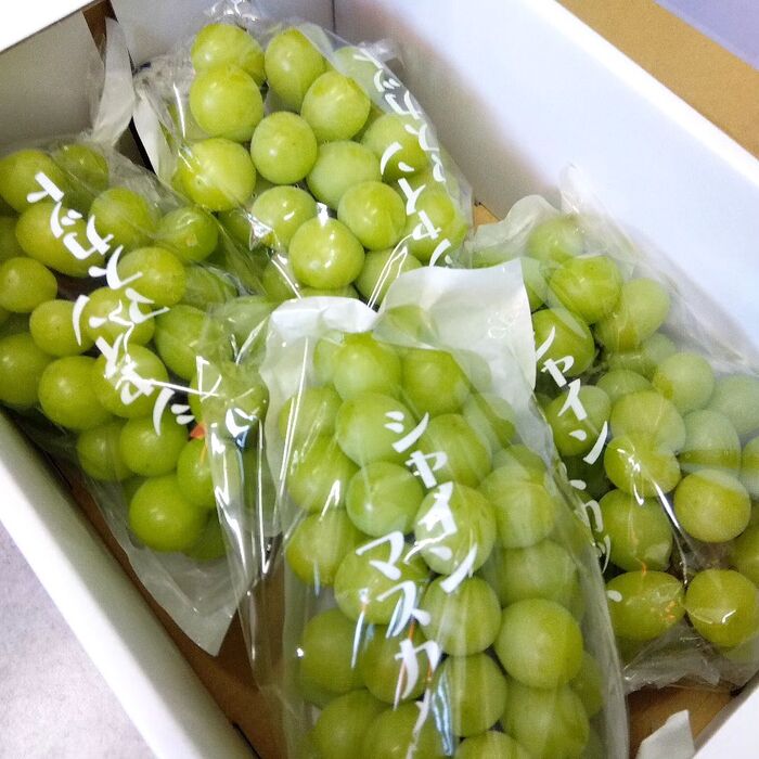 画像419