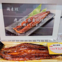 画像536