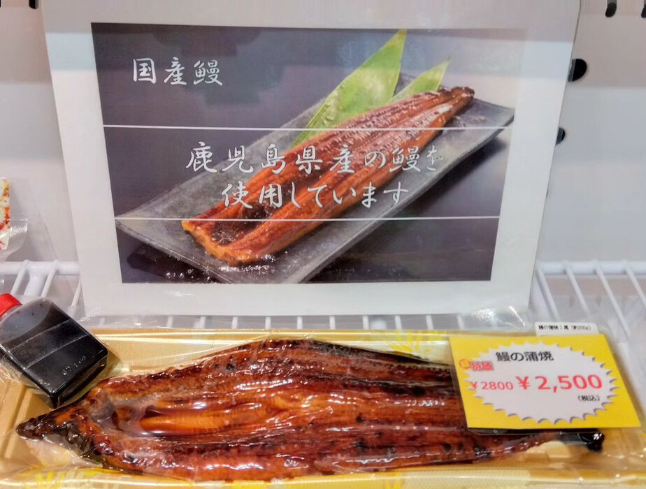 画像536