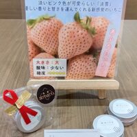 画像606