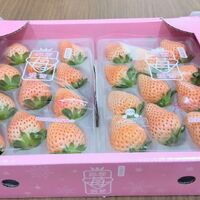 画像632