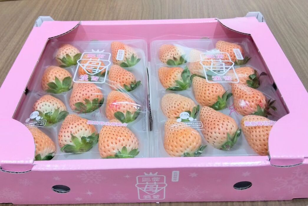 画像632