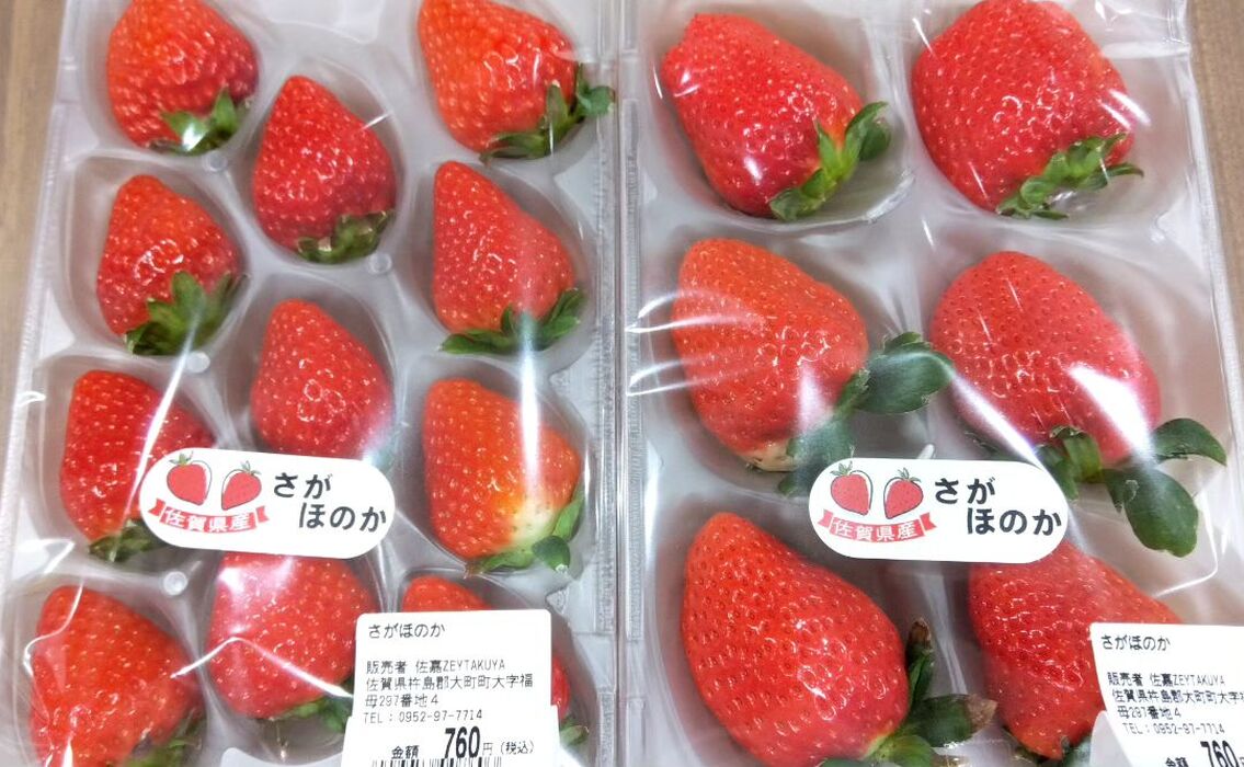 画像699